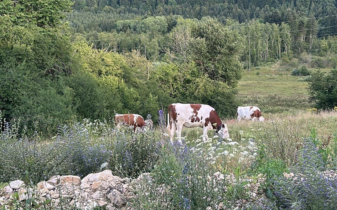 Photo of Others in Longemaison