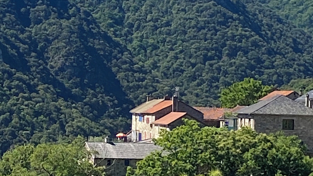 Photo of Others in Pied-de-Borne