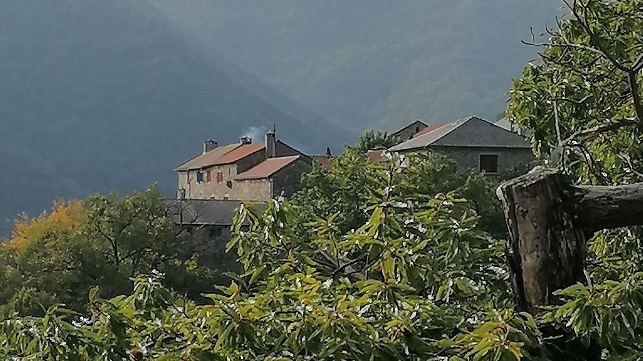 Photo of Others in Pied-de-Borne
