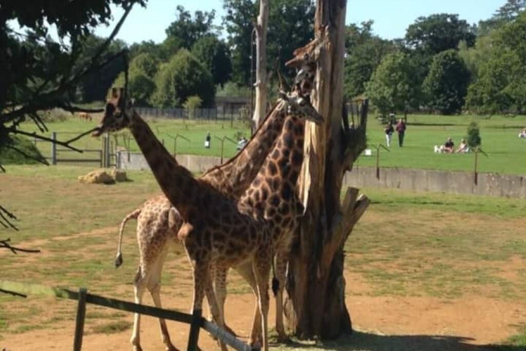 Photo of Others in Kempsford