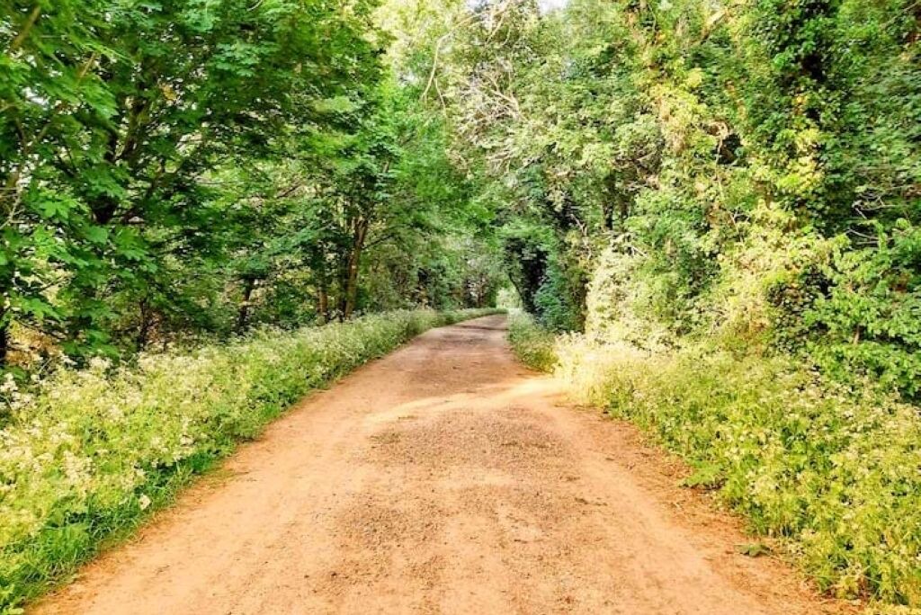 Photo of Others in Kempsford