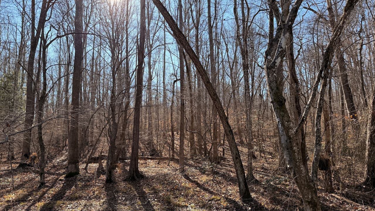 Photo of Outdoor in Elon