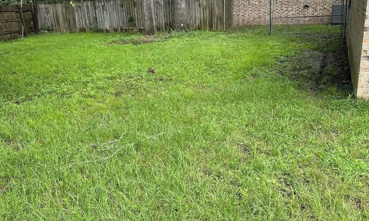 Photo of Outdoor in Lufkin