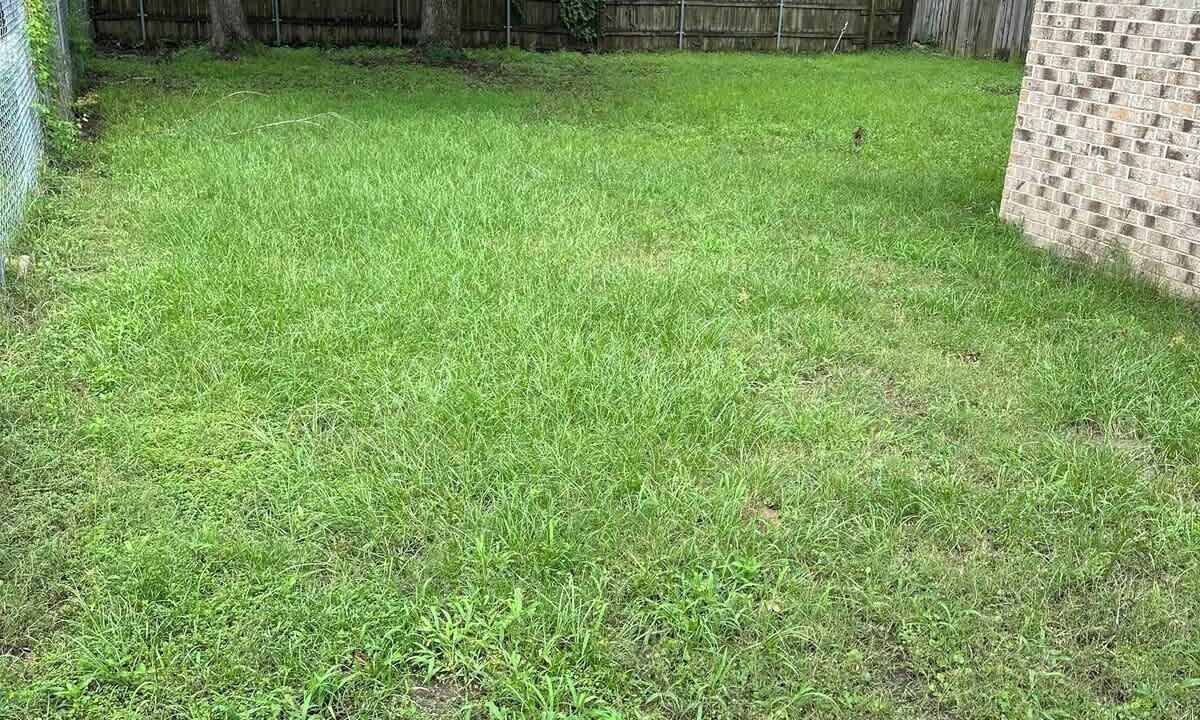 Photo of Outdoor in Lufkin