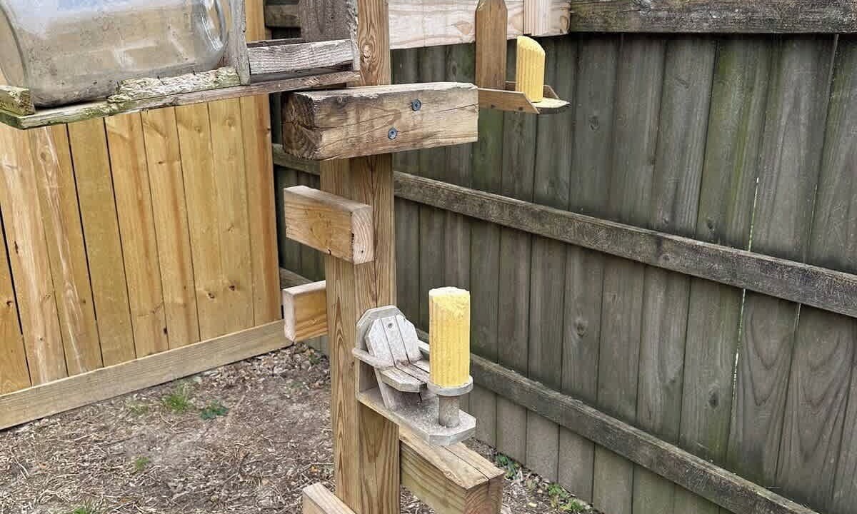 Photo of Outdoor in Lufkin