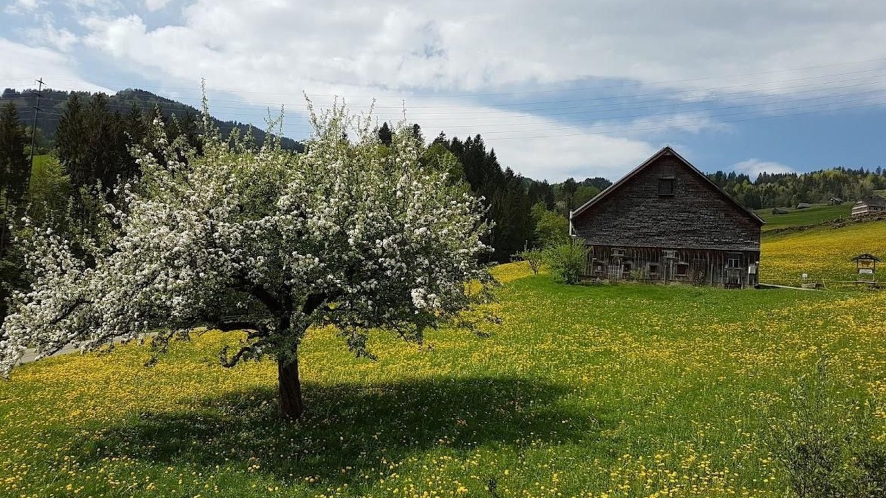 Photo of Others in Nesslau-Krummenau