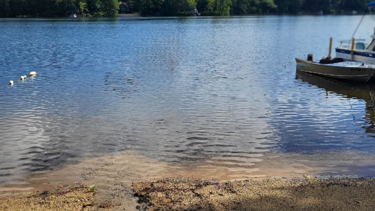 Photo of Others in Rindge