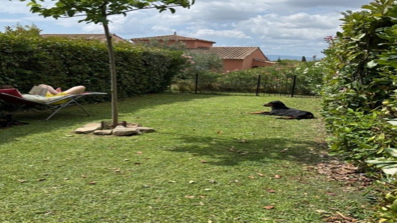 Photo of Outdoor in Homps