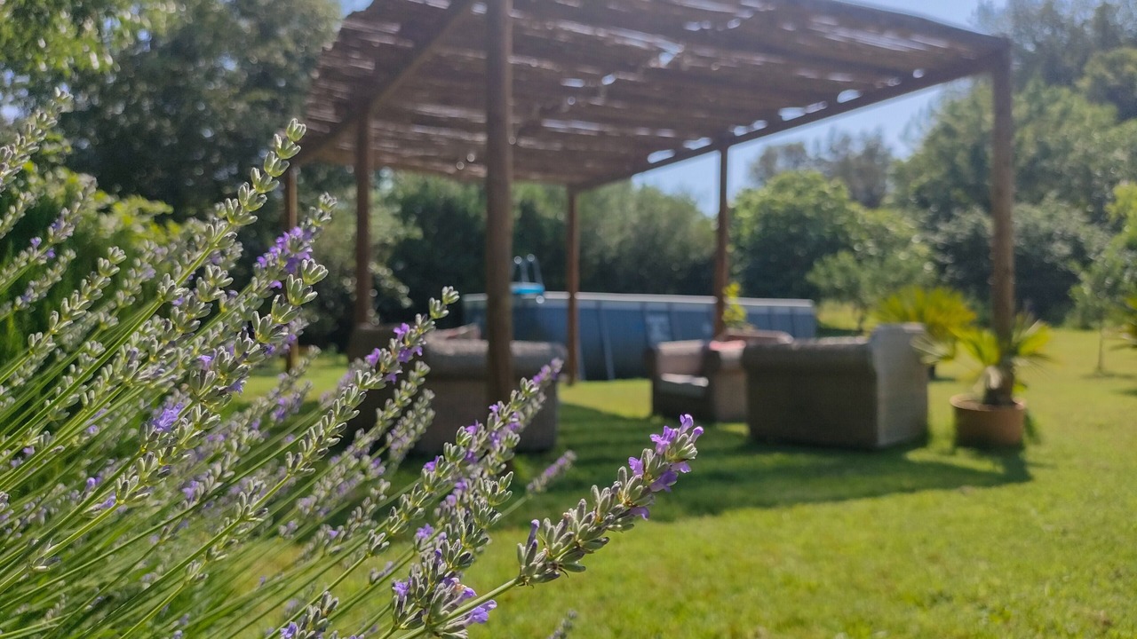 Photo of Outdoor in Sant Marti Vell