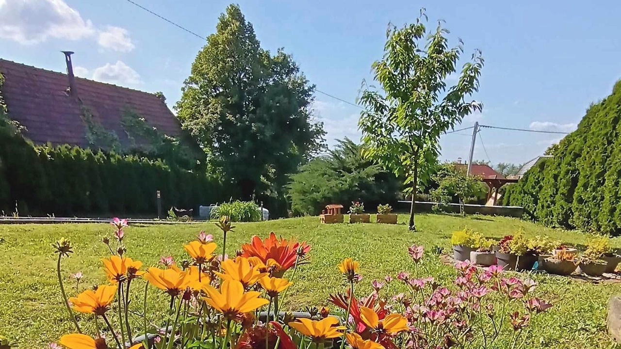 Photo of Outdoor in Oroslavje