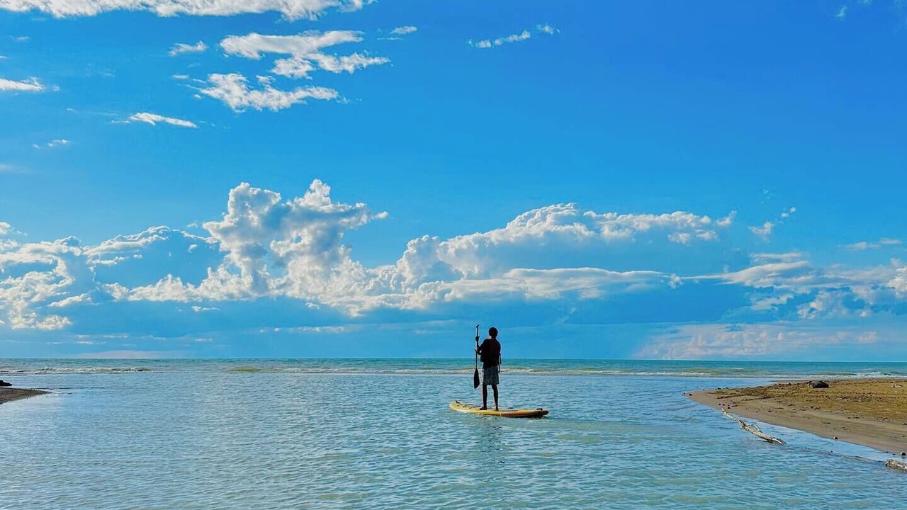 Photo of Others in Plympton-Wyoming
