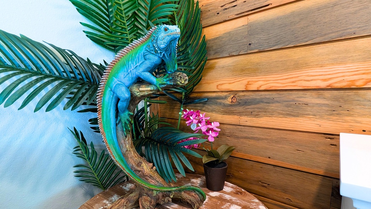 Photo of Others in Fulton