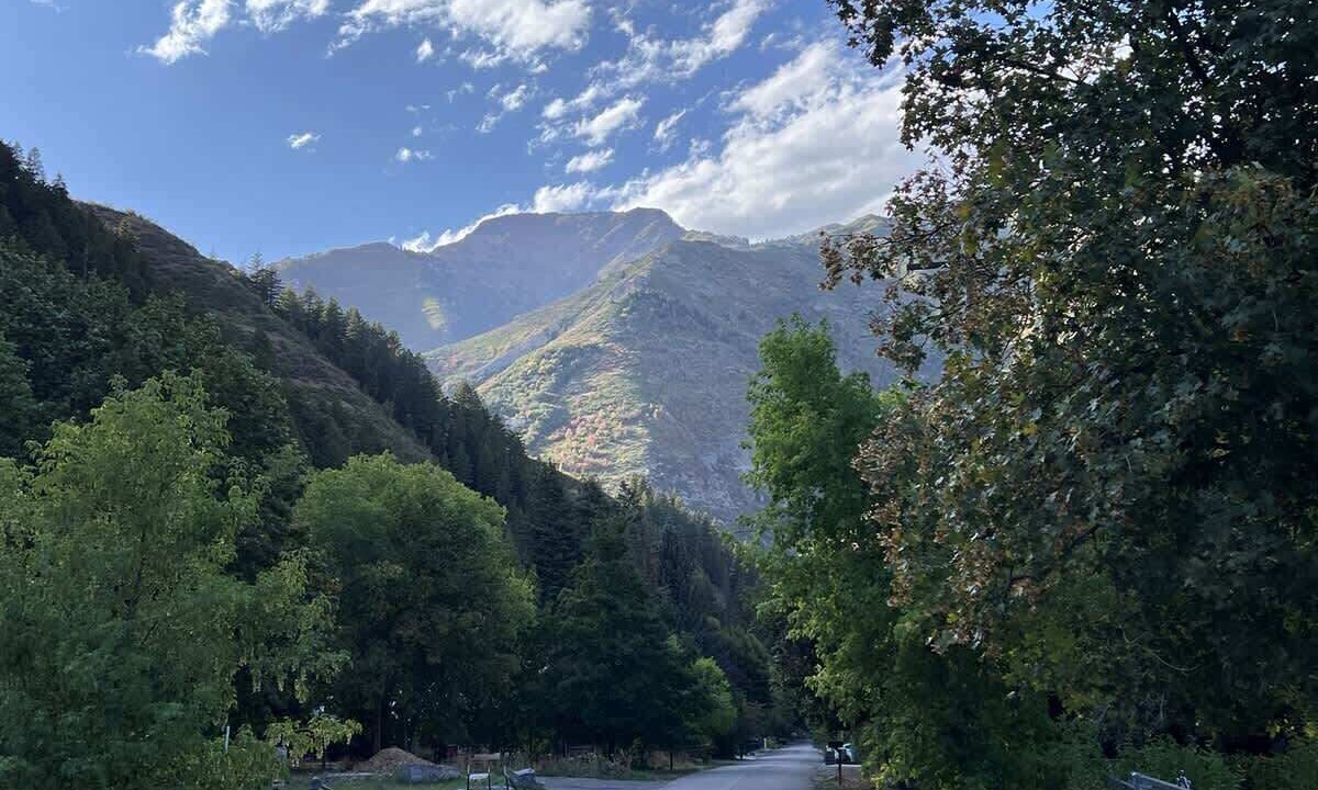 Photo of Others in Snowbird
