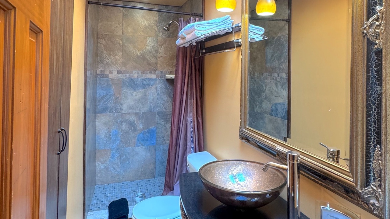 Photo of Bathroom in Eureka Springs Historic District