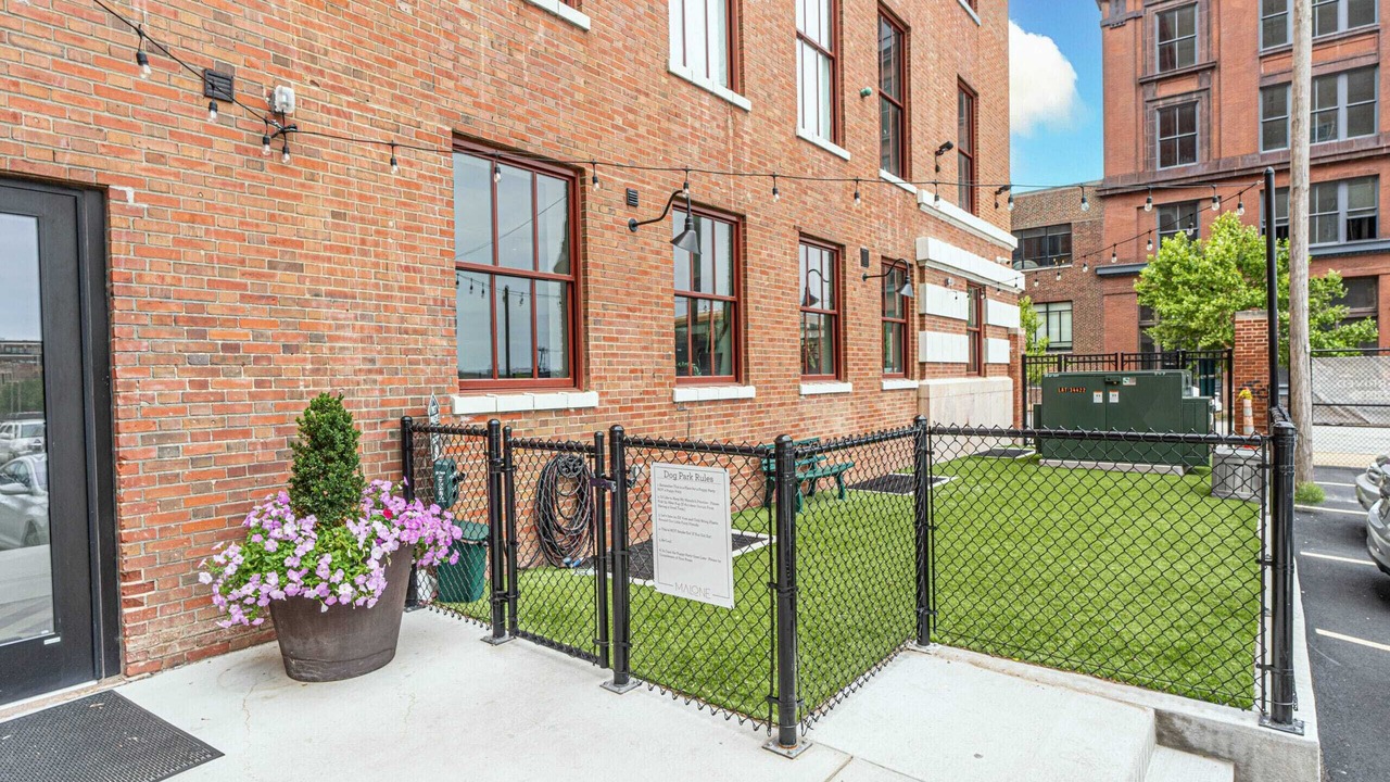 Photo of Outdoor in Downtown St. Louis