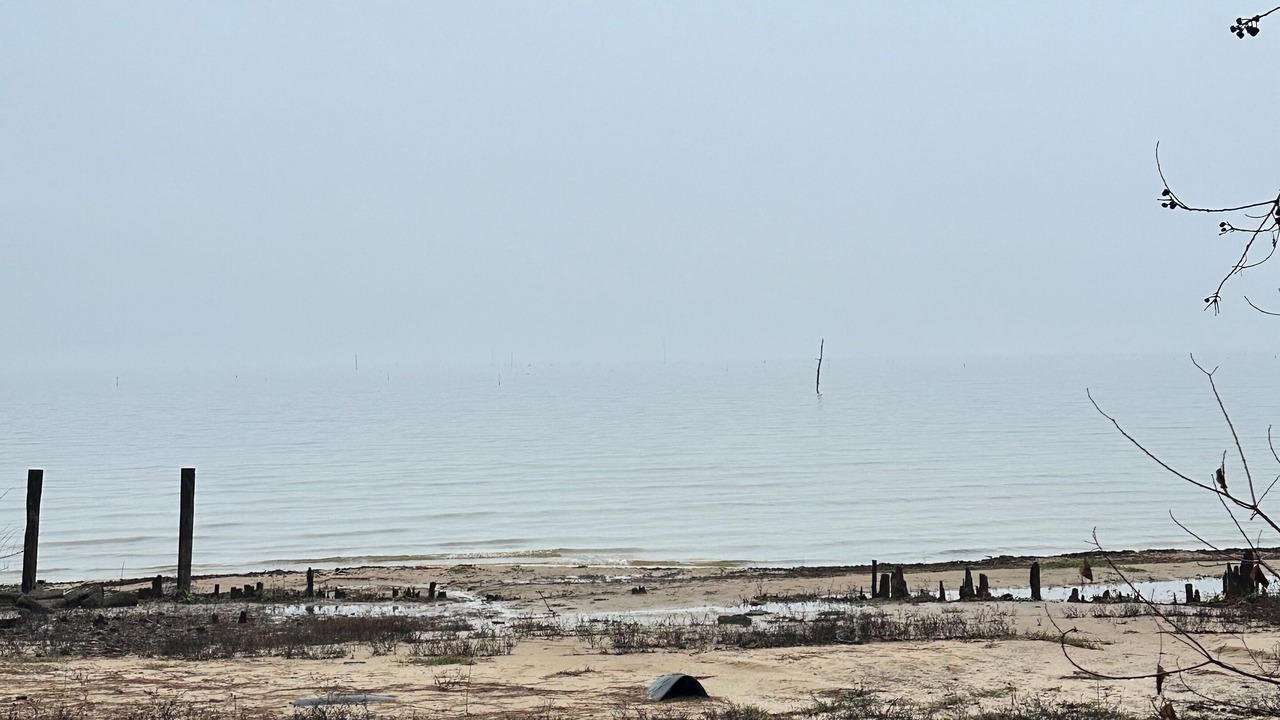 Photo of Others in Pelican