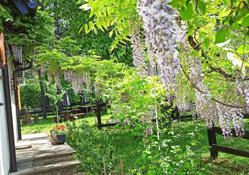 Photo of Others in Rudanovac