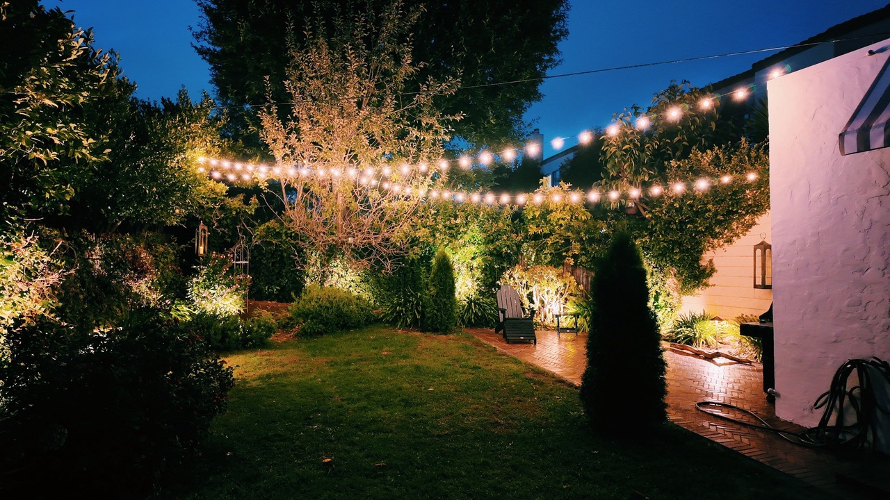 Photo of Outdoor in San Mateo Park