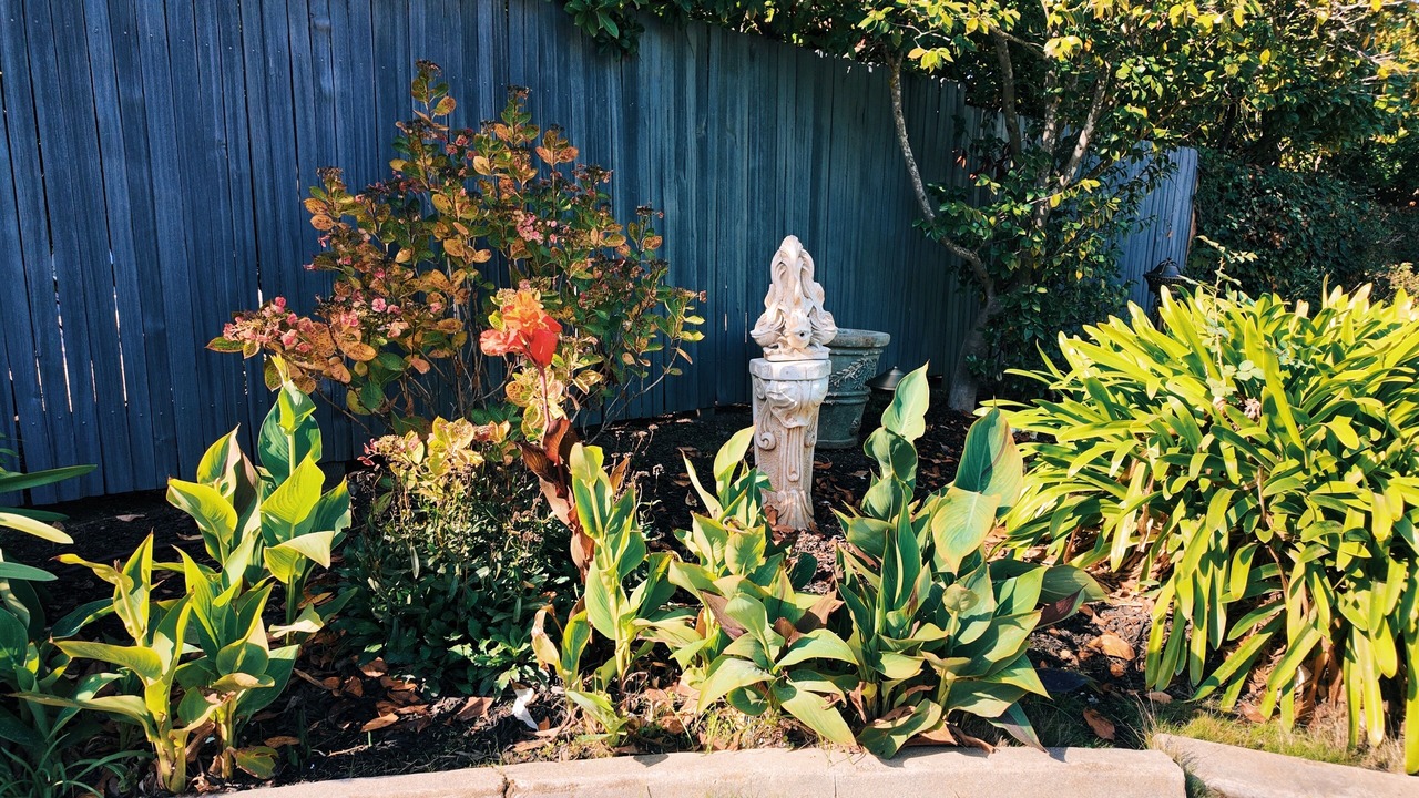 Photo of Outdoor in San Mateo Park