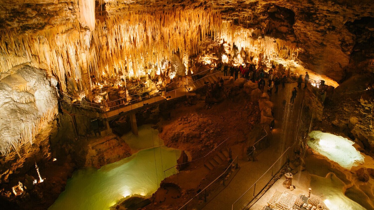 Photo of Others in Saint-Cyprien