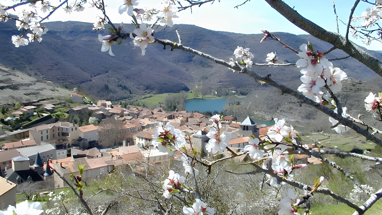 Photo of Others in Saint-Rome-de-Tarn