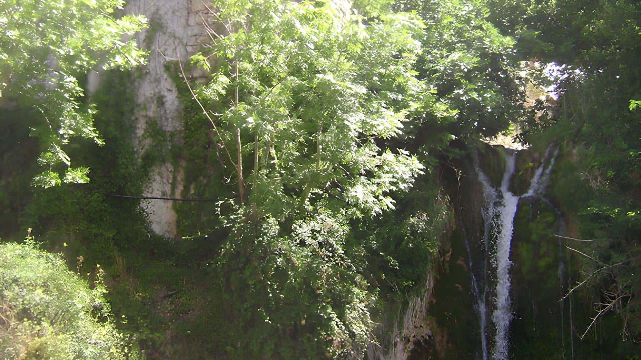 Photo of Others in Saint-Rome-de-Tarn