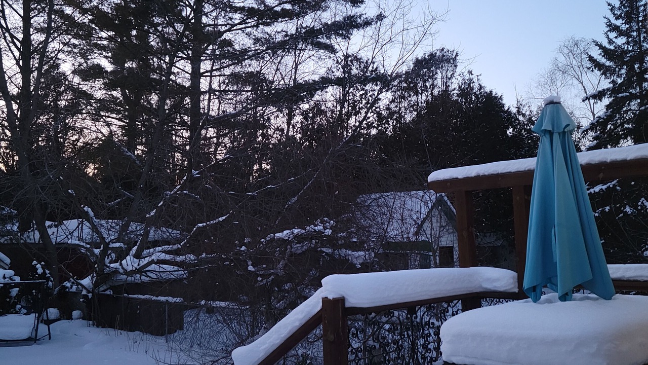 Photo of Outdoor in Georgina