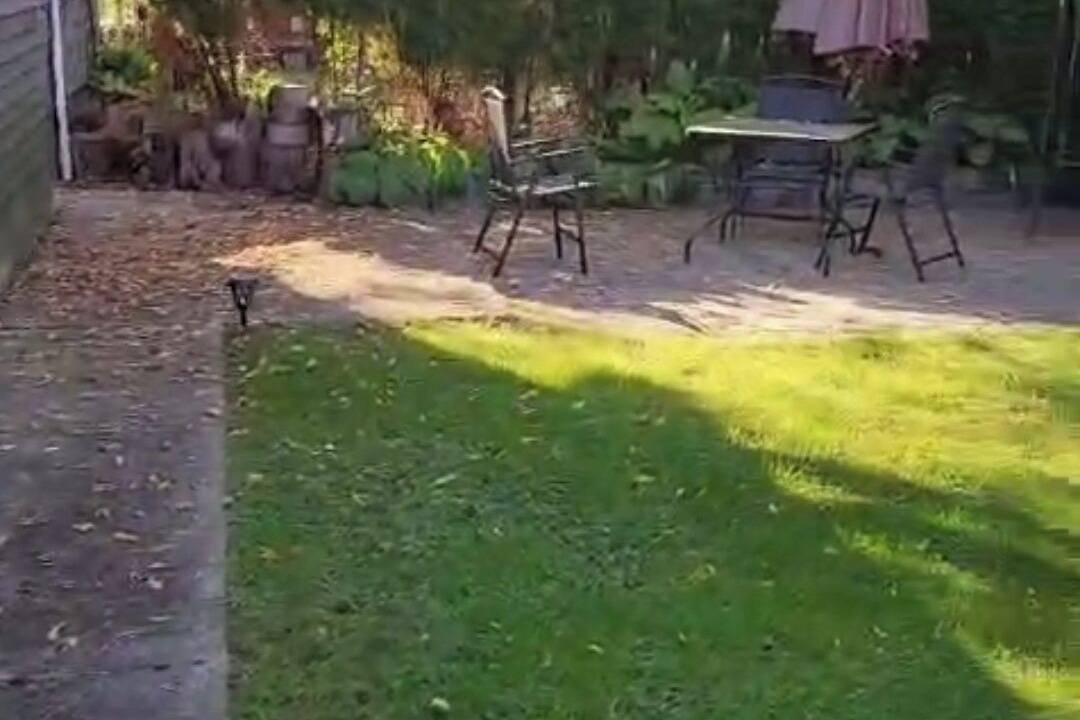 Photo of Outdoor in Georgina