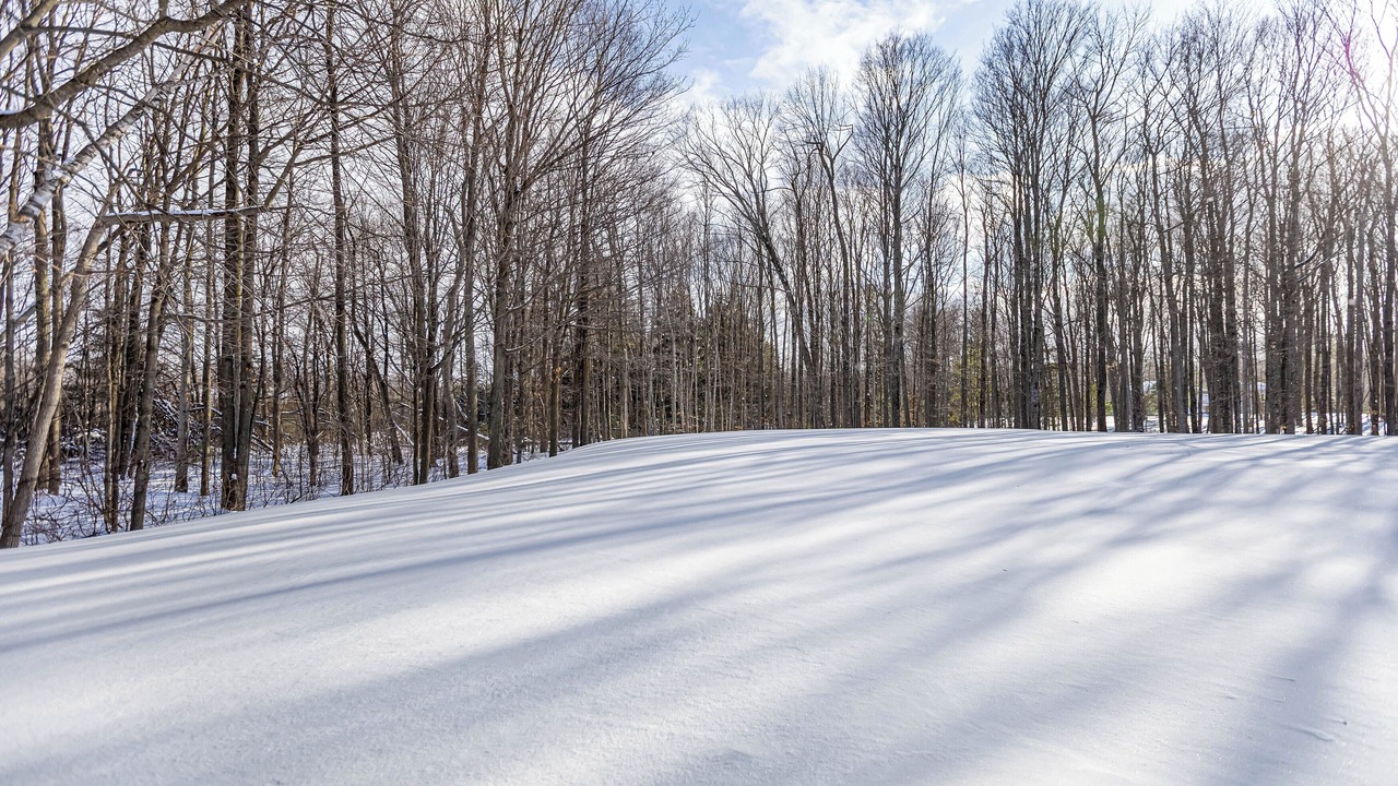 Photo of Others in Whitchurch-Stouffville