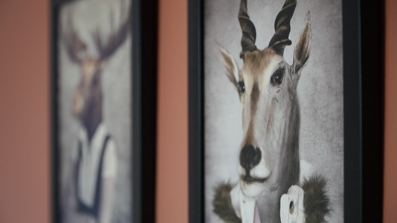 Photo of Others in Soudan