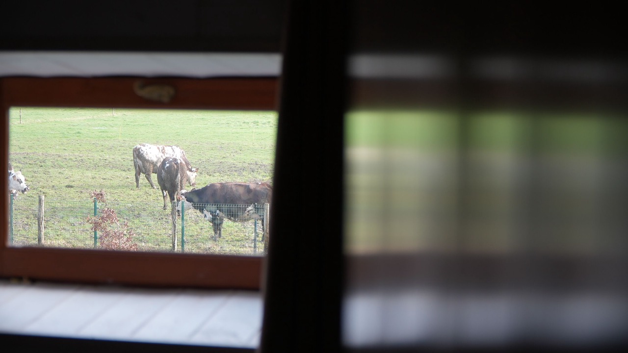 Photo of Others in Soudan