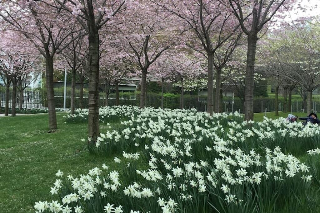 Photo of Outdoor in Batignolles
