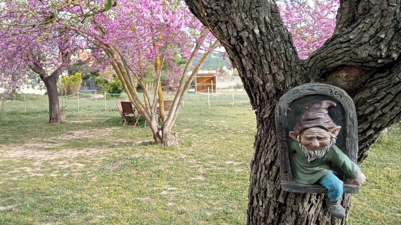 Photo of Outdoor in Tivissa