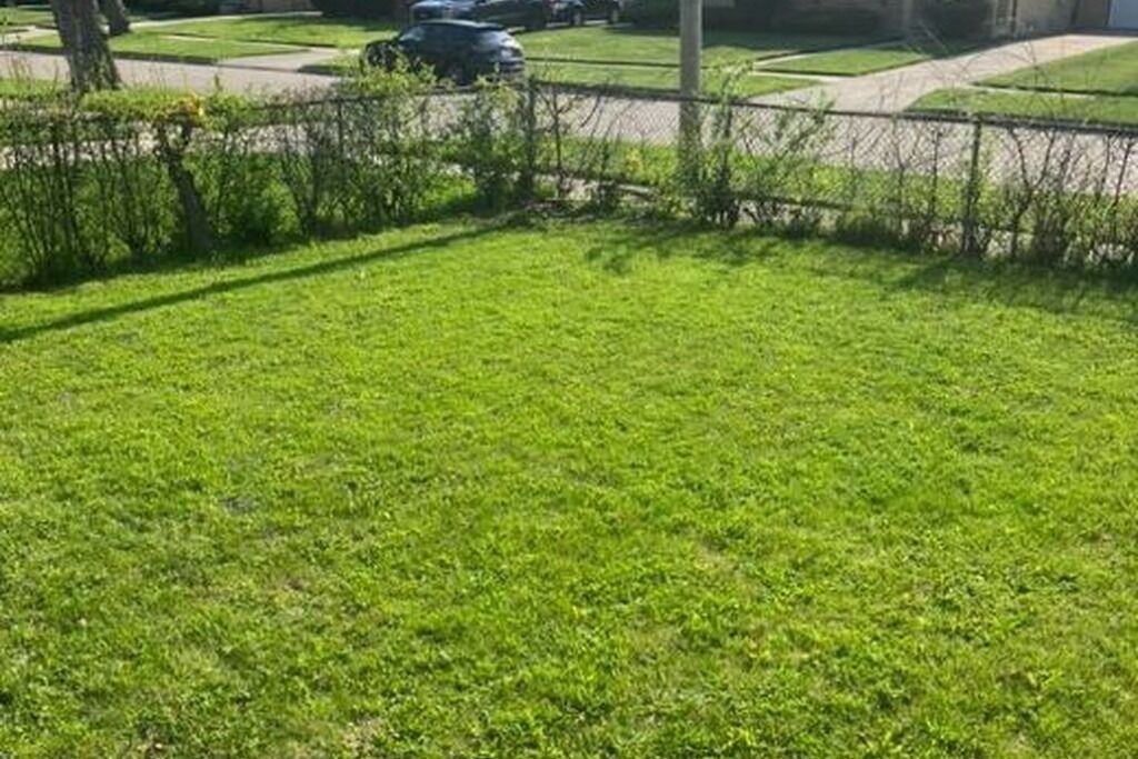 Photo of Outdoor in Oak Park