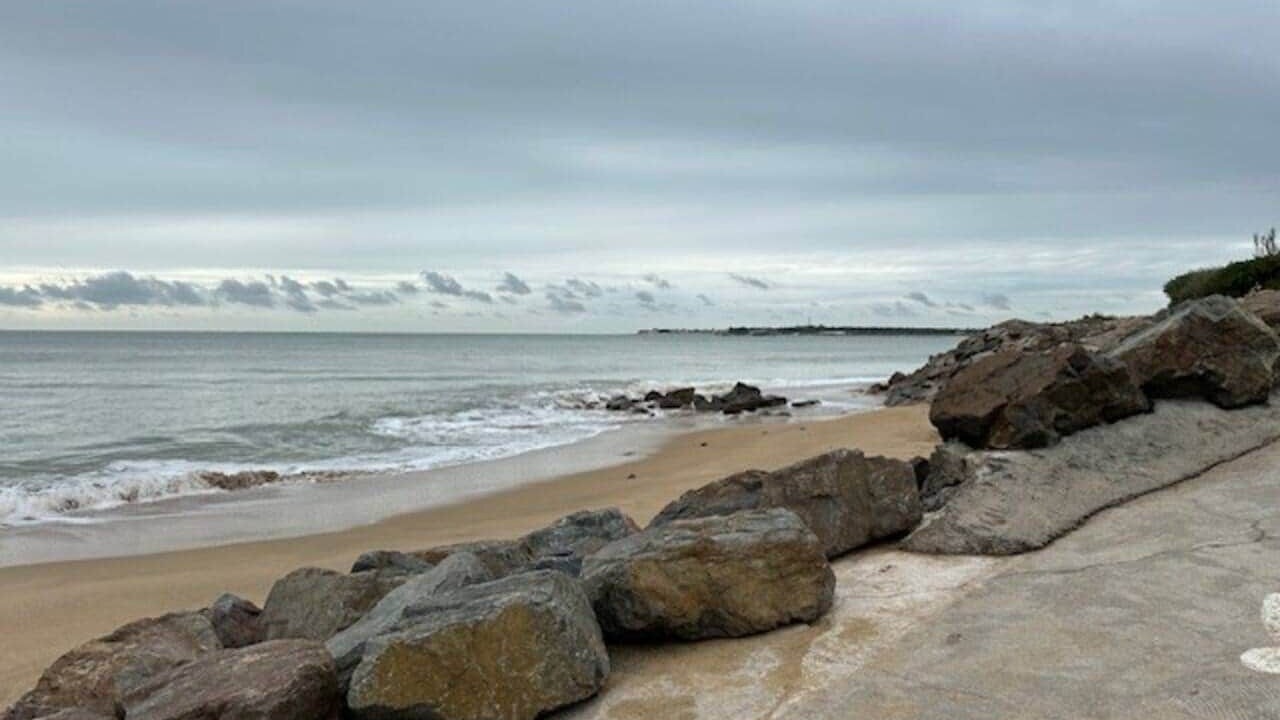 Photo of Others in La Tranche-sur-Mer