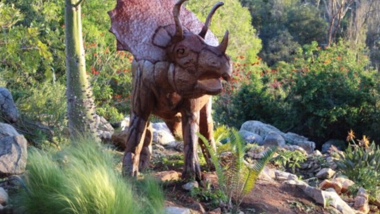 Photo of Others in Vista