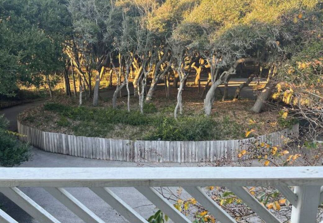 Photo of Outdoor in Pine Knoll Shores