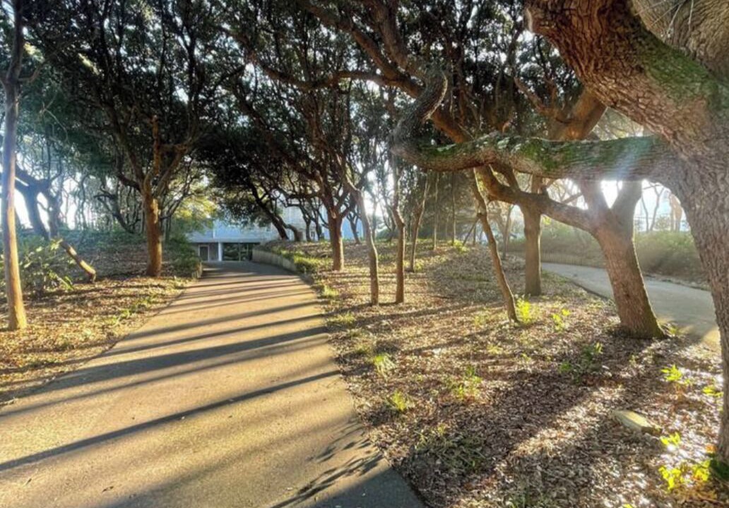Photo of Others in Pine Knoll Shores