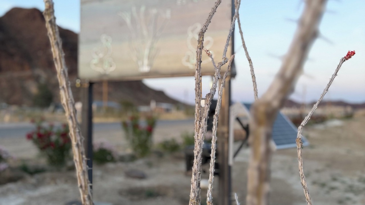 Photo of Others in Study Butte-Terlingua