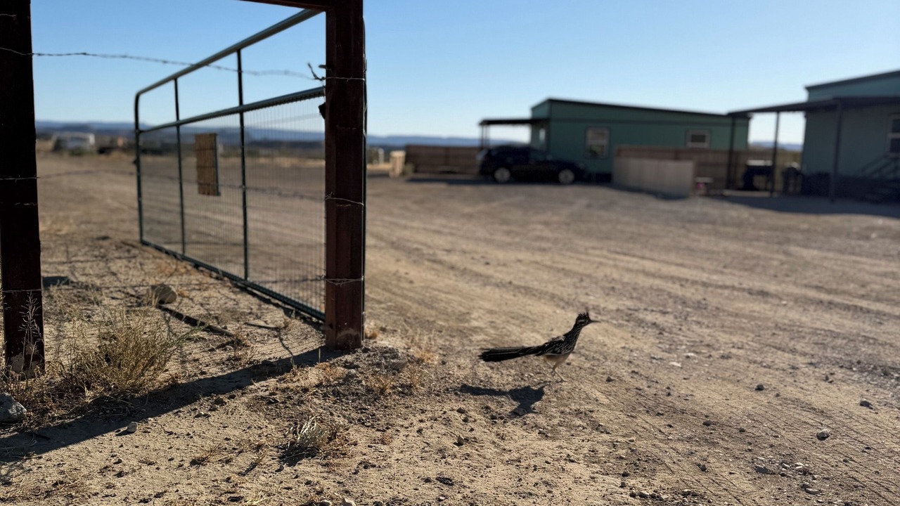Photo of Outdoor in Study Butte-Terlingua