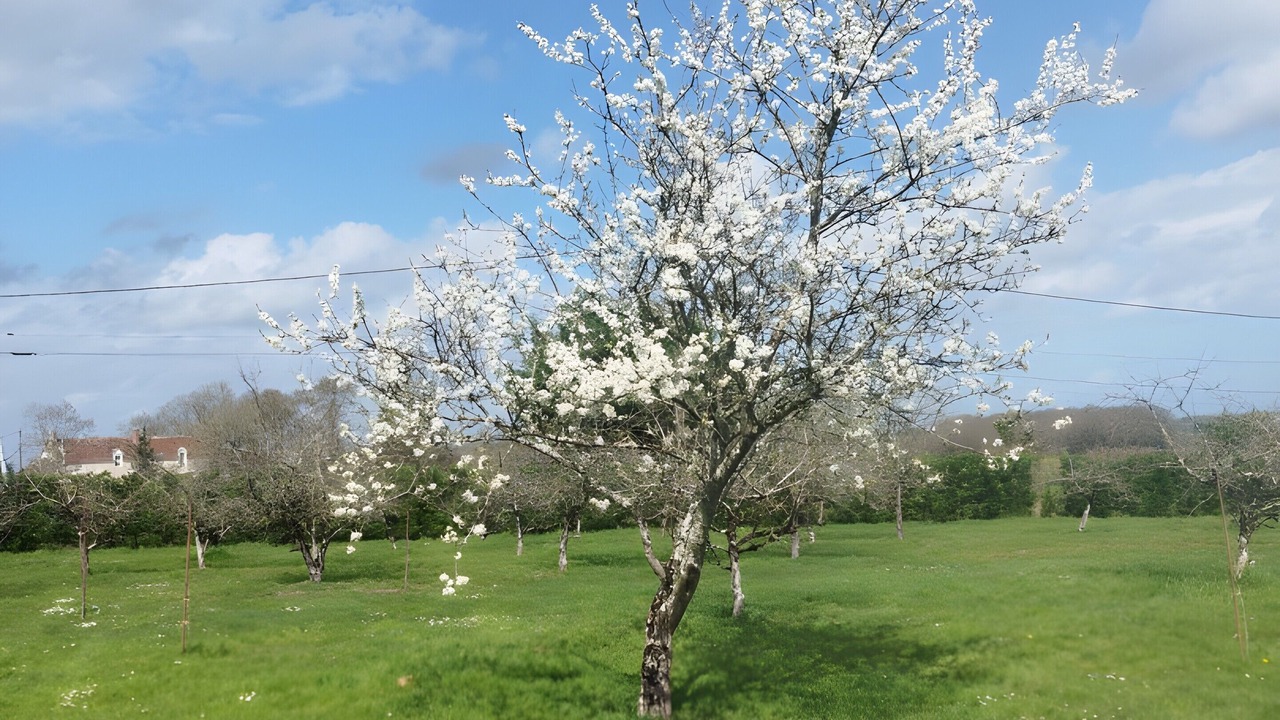 Photo of Others in Villeloin-Coulange