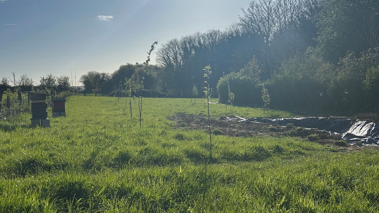 Photo of Outdoor in Rinxent