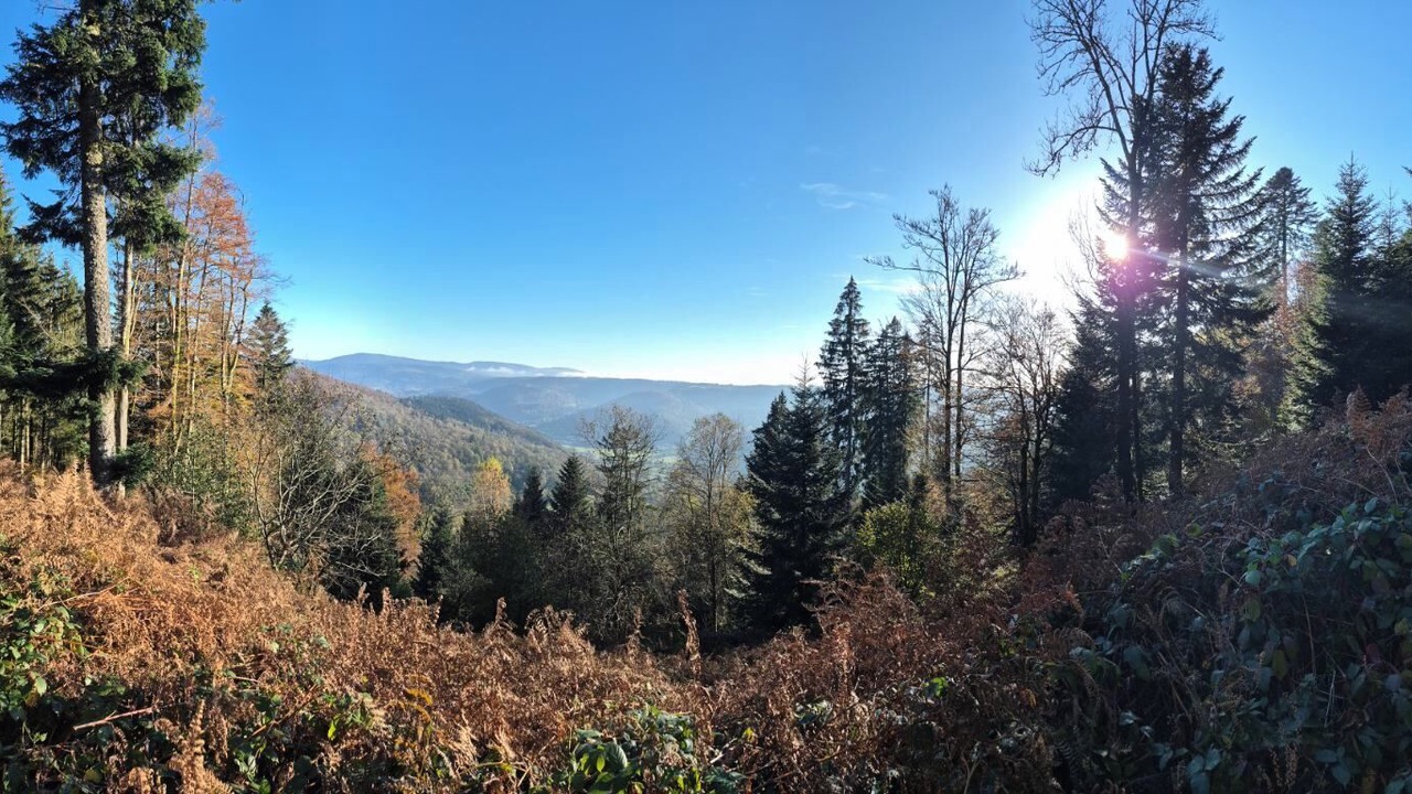 Photo of Others in Ferdrupt