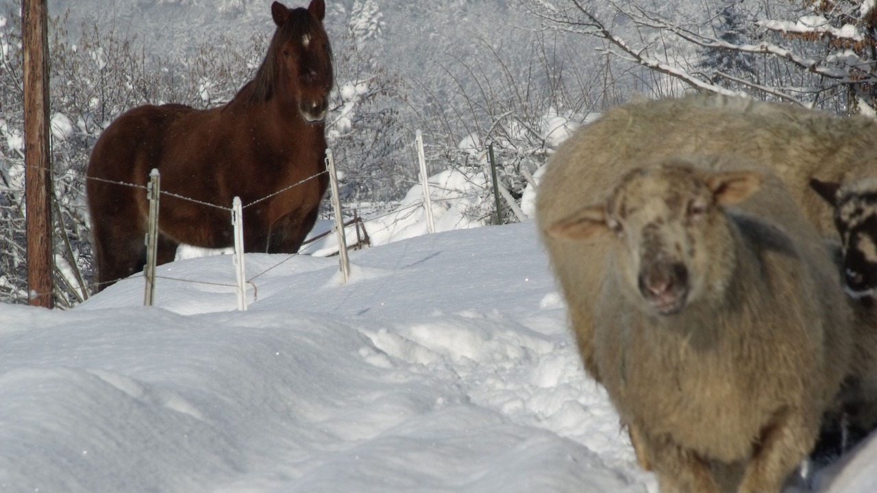 Photo of Others in Ferdrupt