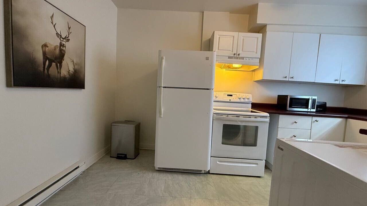 Photo of Kitchen in Cote-Des-Neiges—Notre-Dame-De-Grace