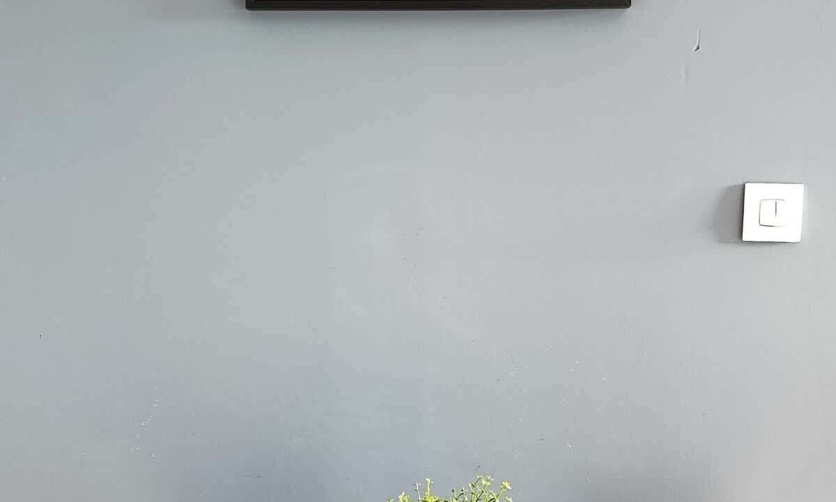 Photo of Others in Roubaix
