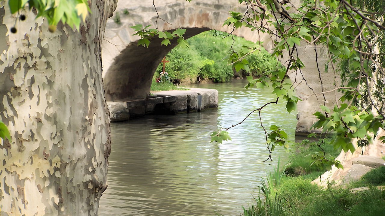 Photo of Others in Colombiers