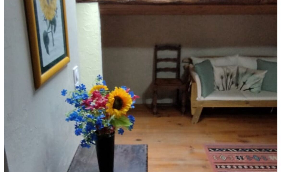 Photo of Others in Ferran