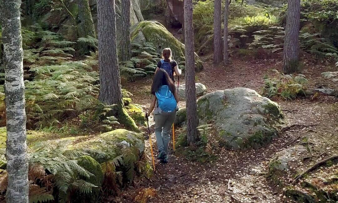 Photo of Others in Fontainebleau