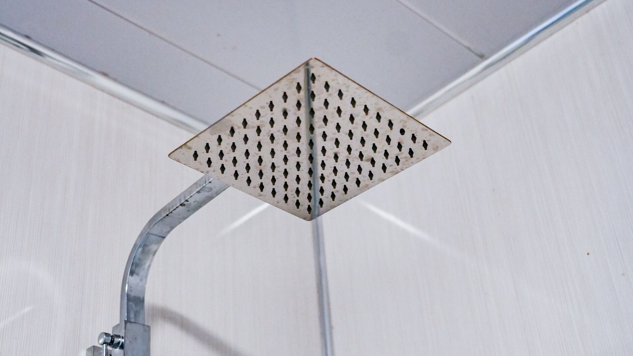 Photo of Bathroom in Livingston